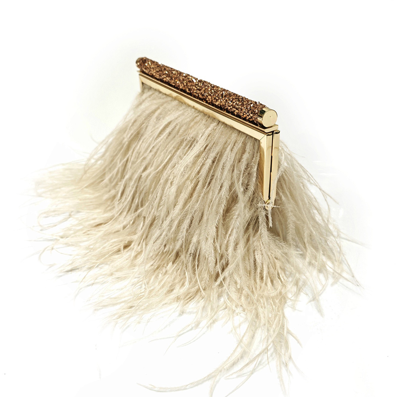 Fashion Clutch Metal frame Eve - đánh giá và giá Luxury Bags On Sale