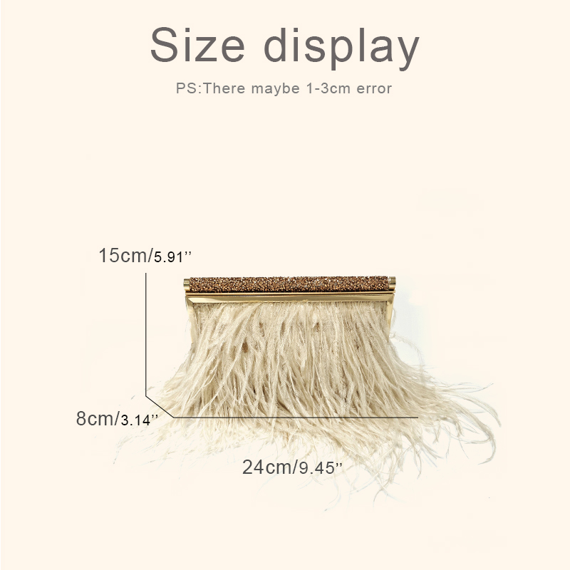 Fashion Clutch Metal frame Eve - đánh giá và giá Luxury Bags On Sale