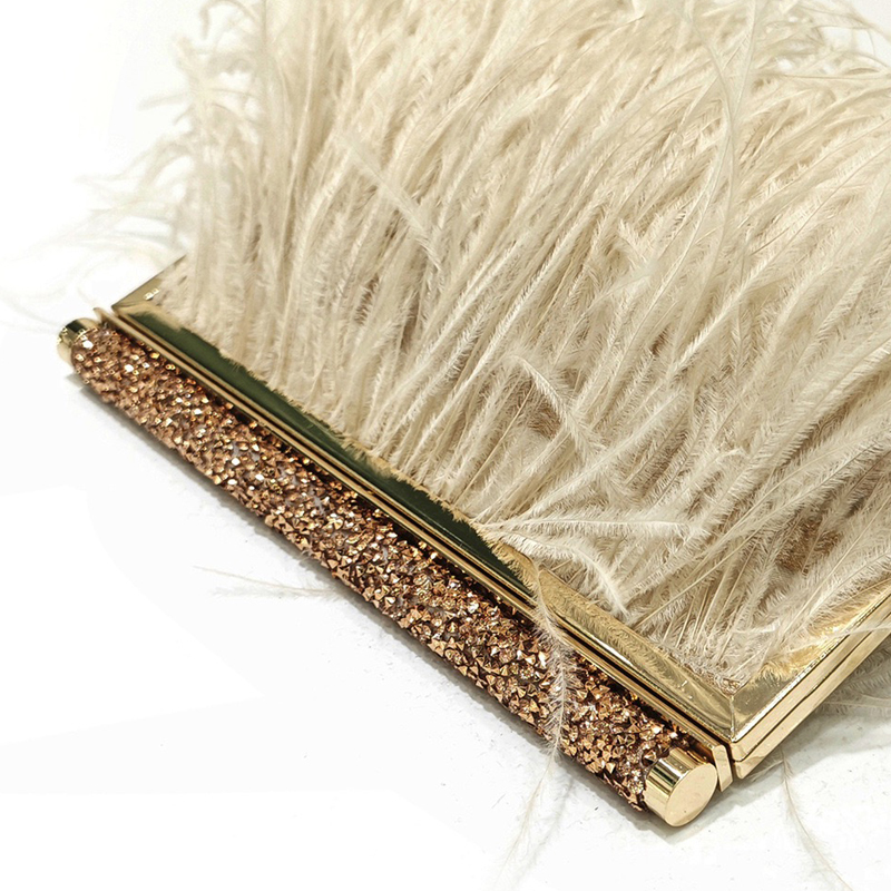 Fashion Clutch Metal frame Eve - đánh giá và giá Luxury Bags On Sale